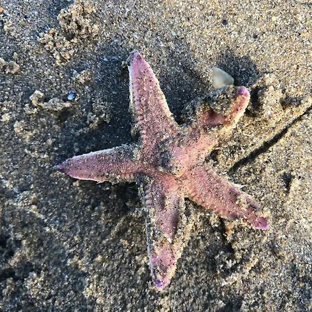 Casa vacanze View Portnablagh *