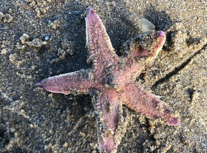 Casa vacanze View Portnablagh *